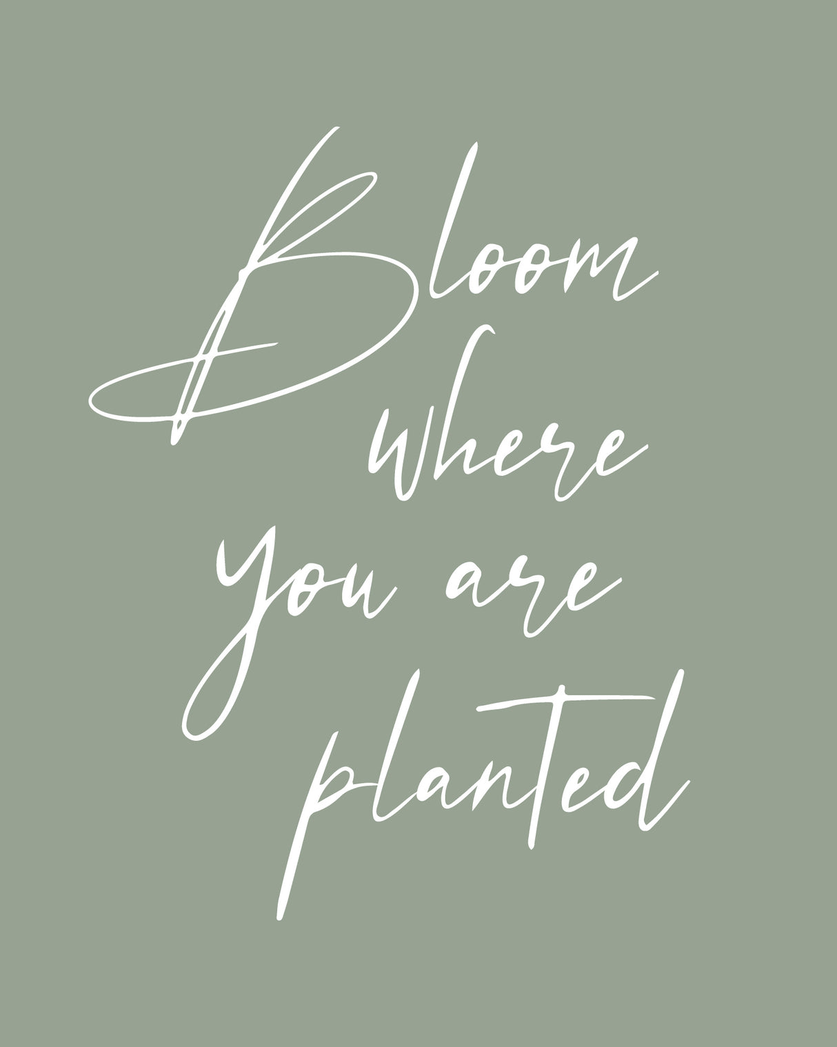 Bloom Poster och Canvastavla