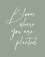 Bloom Poster och Canvastavla