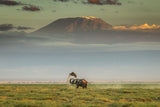 The magic of Amboseli Poster och Canvastavla