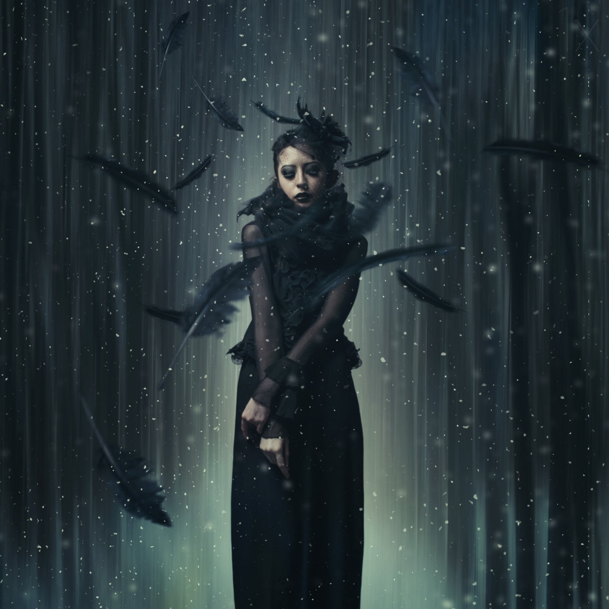 Black Swan Poster och Canvastavla