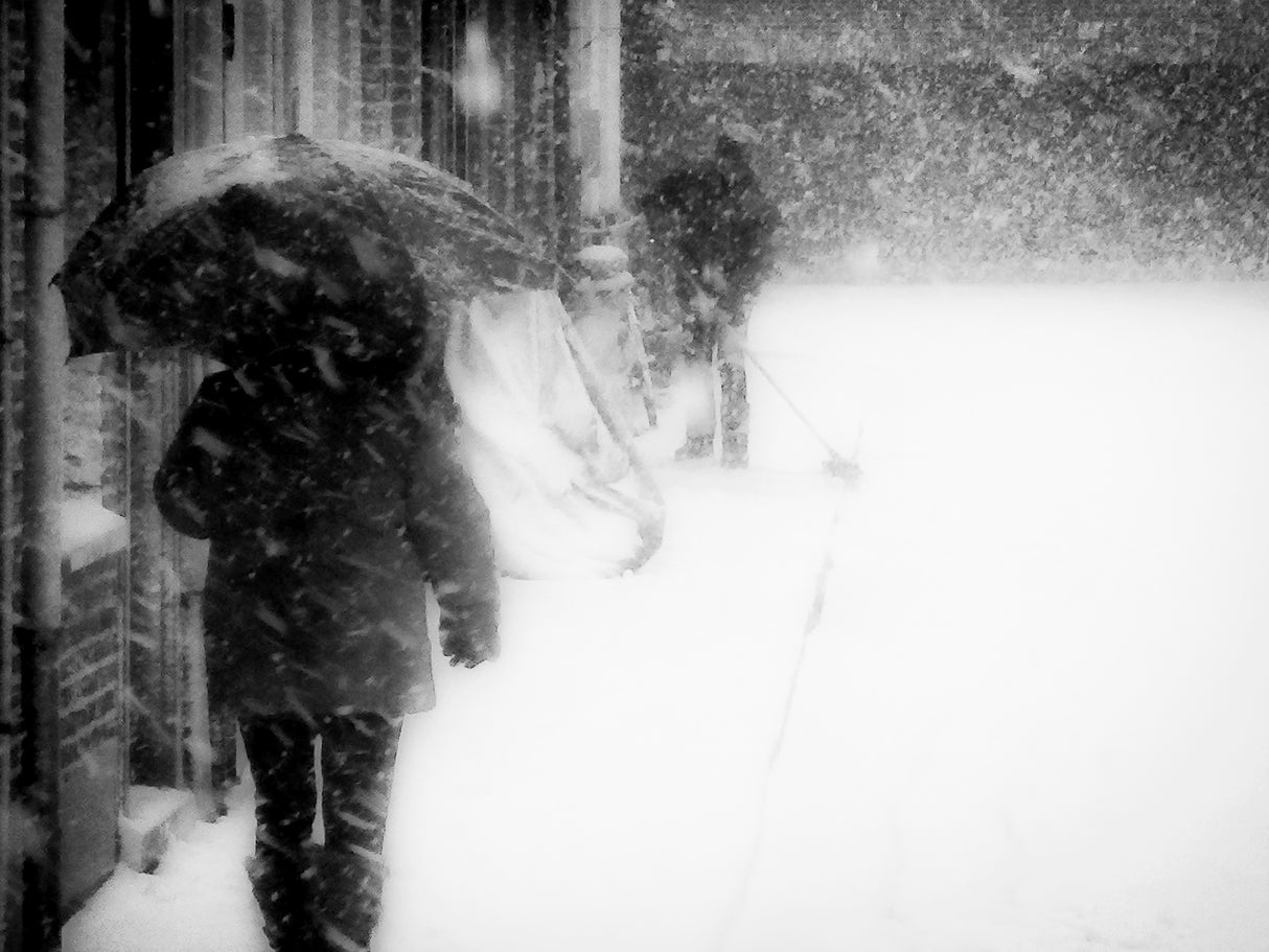 Homecoming in the snow Poster och Canvastavla