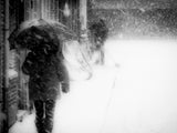 Homecoming in the snow Poster och Canvastavla