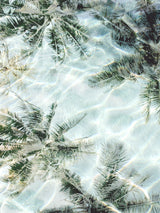 Beach Vibes II Poster och Canvastavla