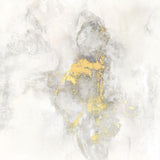 Yosemite Falls I Poster och Canvastavla