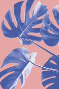 Monstera Purple 06 Poster och Canvastavla