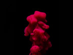 Abstract color paint splash Poster och Canvastavla