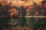 Beautiful reflection in Autumn Poster och Canvastavla