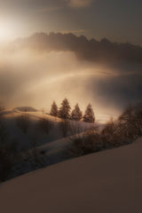 Winter Sunset Poster och Canvastavla