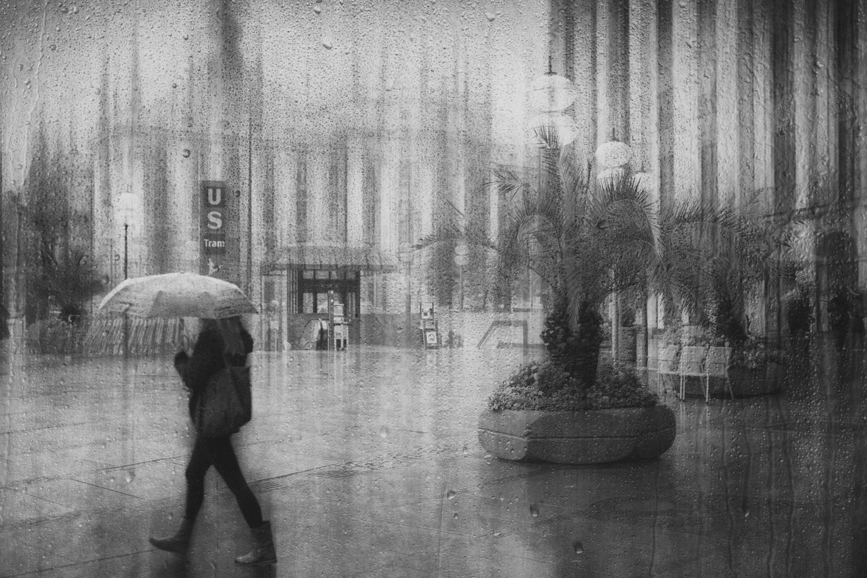 spring rain Poster och Canvastavla