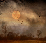 October Rust... Poster och Canvastavla