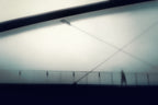 The crossing Poster och Canvastavla