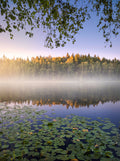 Calm summer night Poster och Canvastavla