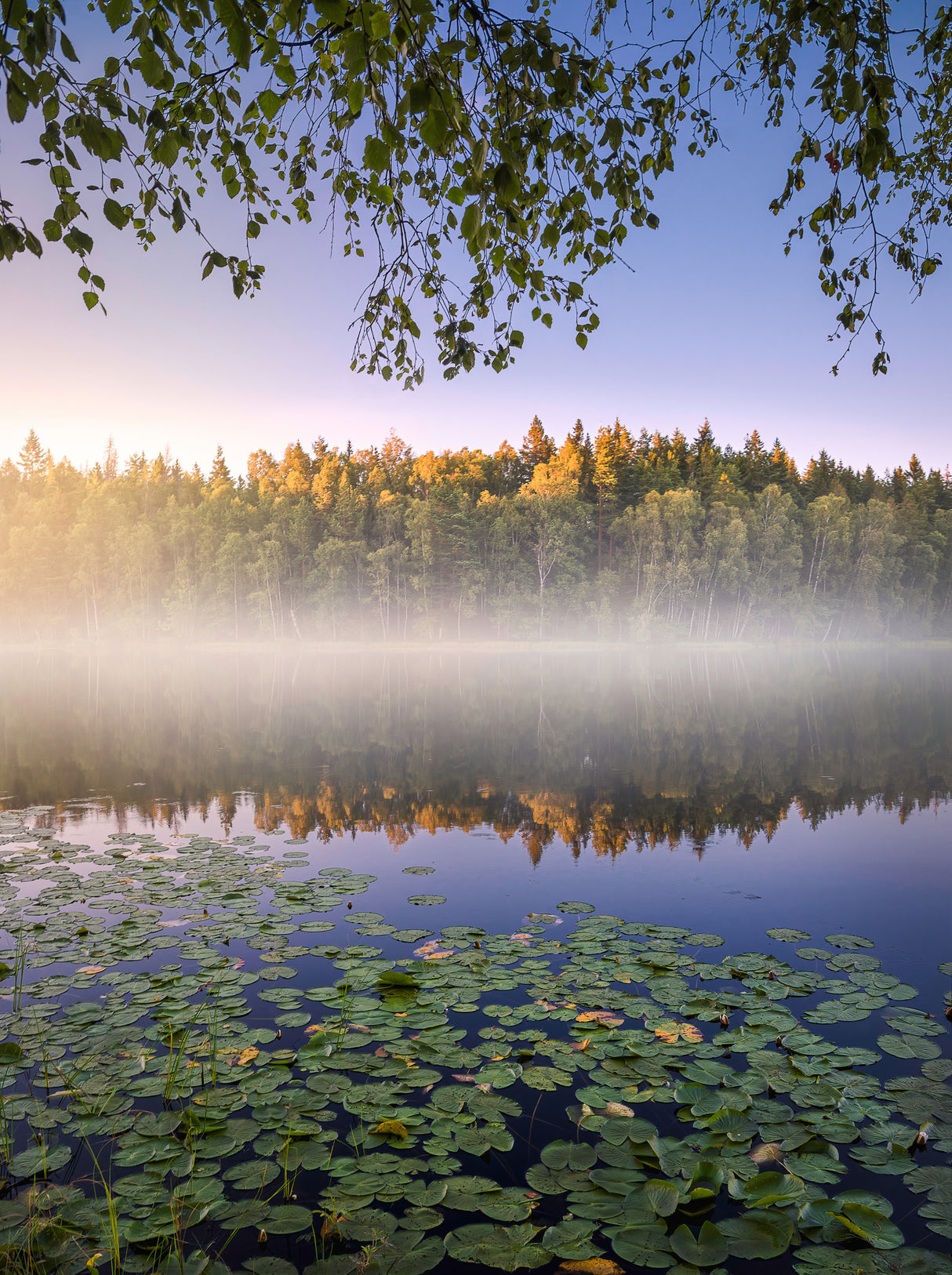 Calm summer night Poster och Canvastavla