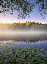 Calm summer night Poster och Canvastavla