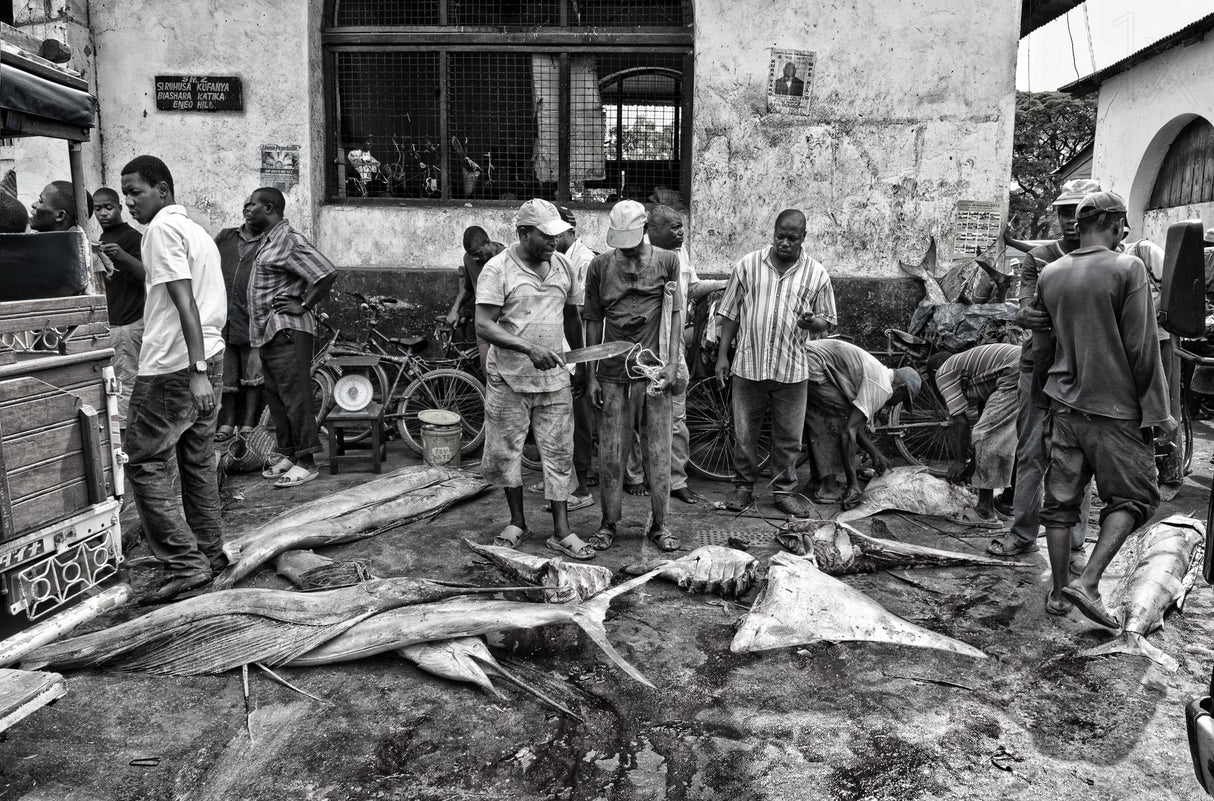 Fish market in Zanzibar. Poster och Canvastavla