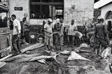 Fish market in Zanzibar. Poster och Canvastavla