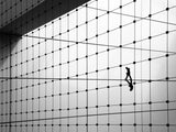 Walking the line Poster och Canvastavla