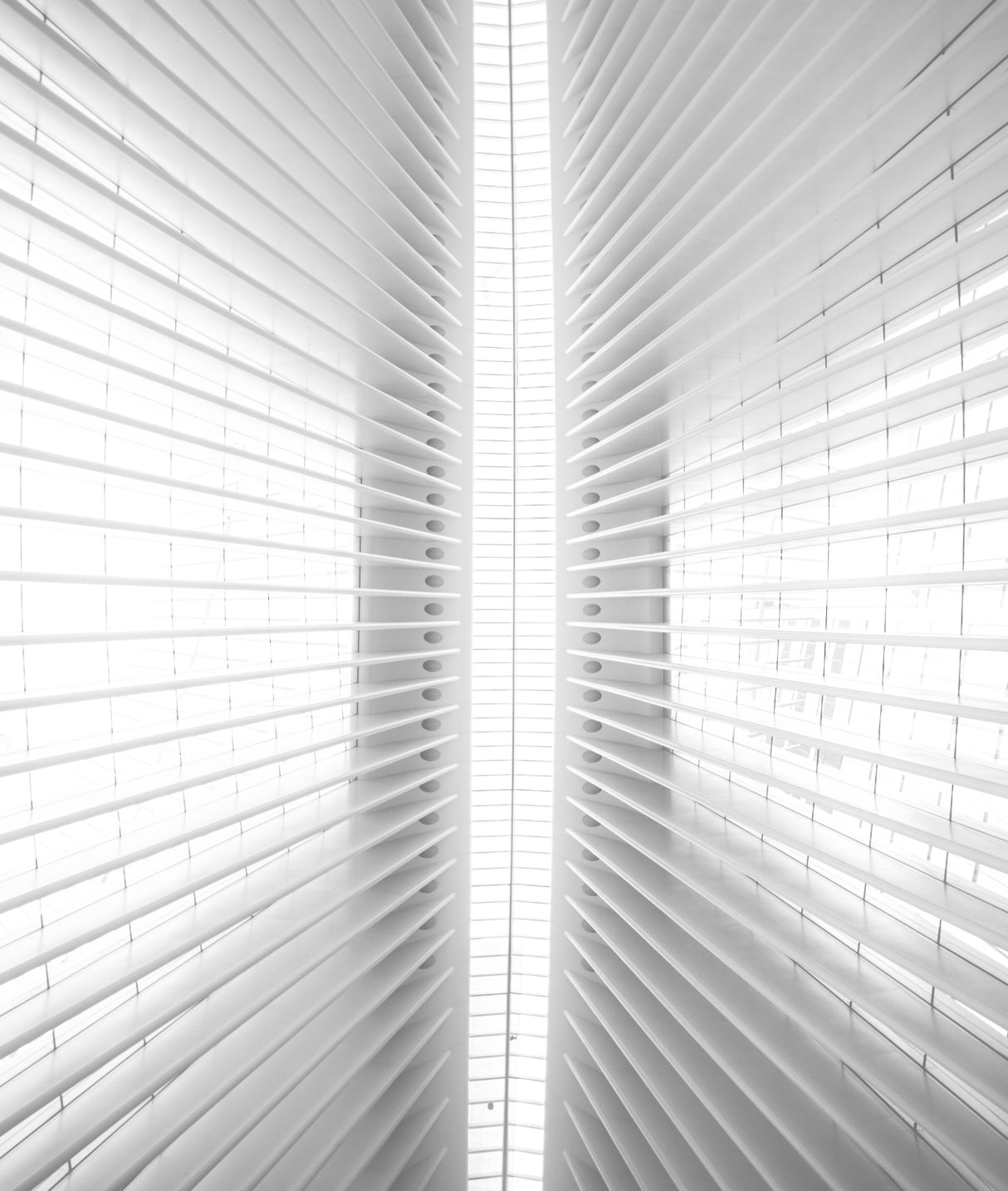 Inside Oculus Poster och Canvastavla