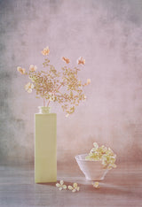 Morning Light Poster och Canvastavla