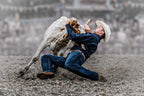 Steer Wrestling Poster och Canvastavla