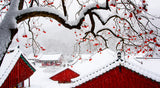 Snow in Temple Poster och Canvastavla