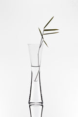 bamboo Poster och Canvastavla
