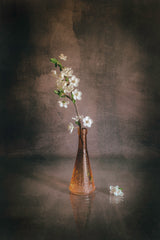 Spring Flowers Poster och Canvastavla