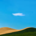 Field Scenery Poster och Canvastavla