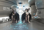 ET Dogs Poster och Canvastavla
