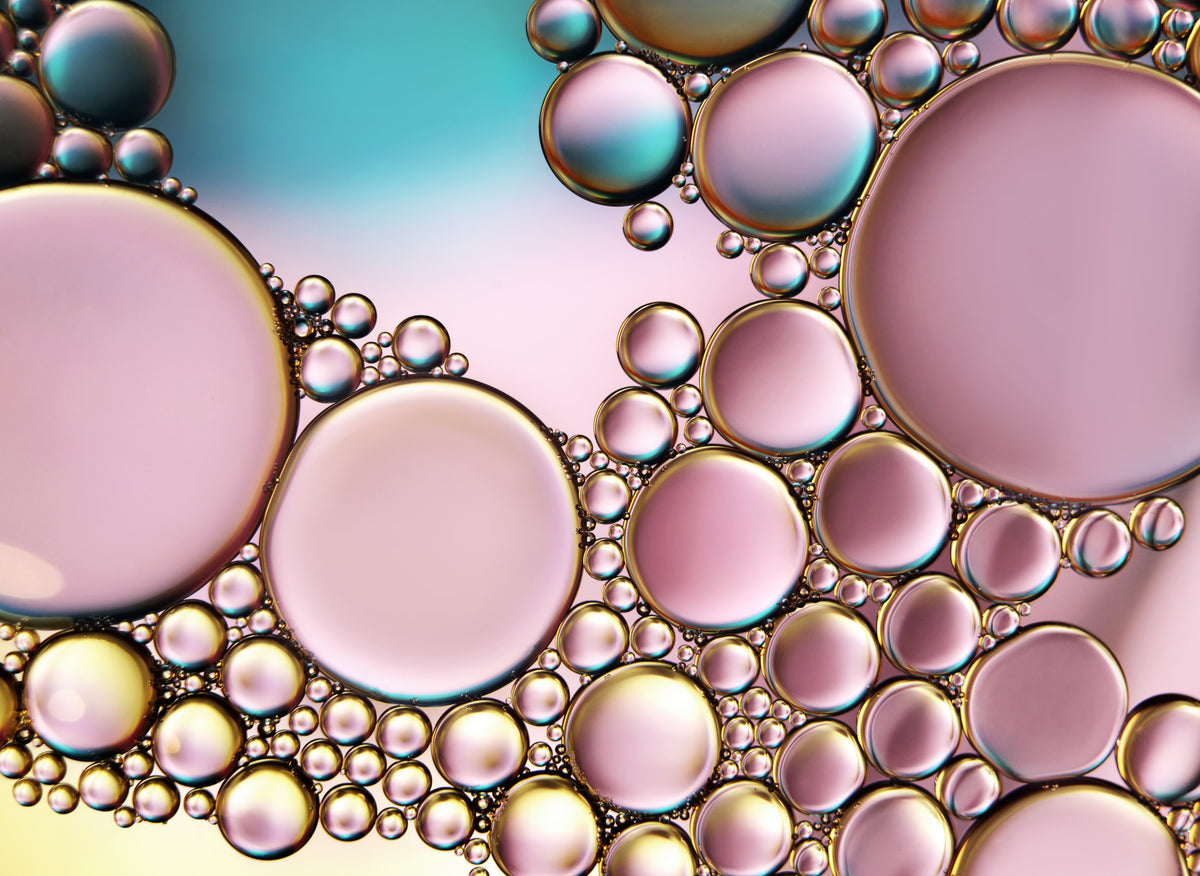 Pastel blush Poster och Canvastavla