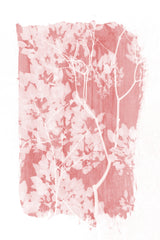Pink Tree Foliage Silhouette Poster och Canvastavla