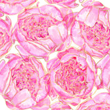 Sally's peonies pattern Poster och Canvastavla