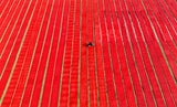 Drying red fabric Poster och Canvastavla