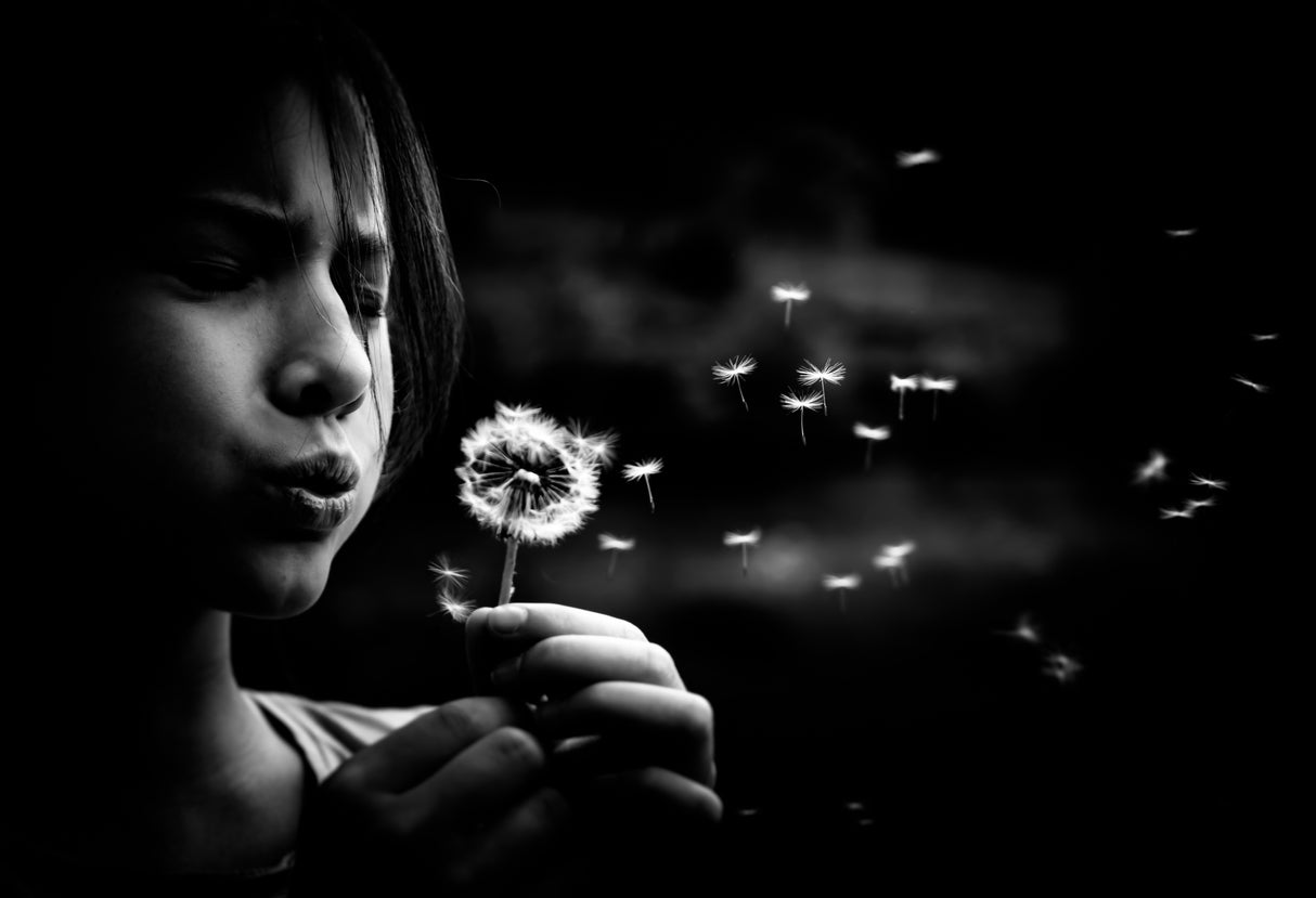 Dandelion in the air Poster och Canvastavla