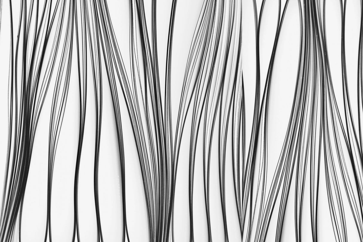 Playing with paper II Poster och Canvastavla