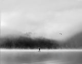 A Misty Morning Poster och Canvastavla