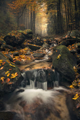 Dreamy Autumn Poster och Canvastavla
