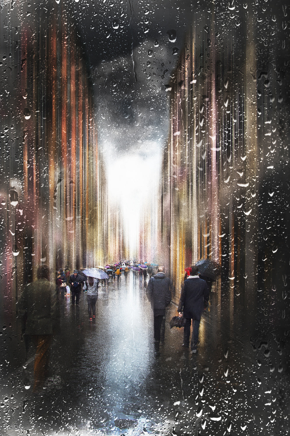 Still rain Poster och Canvastavla