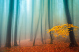 Sense Of Silence Poster och Canvastavla
