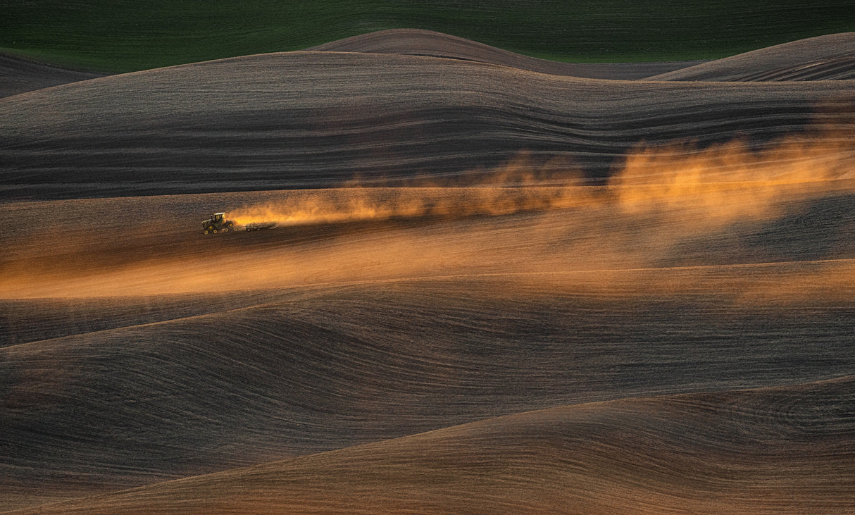 Golden Hour Farmland Poster och Canvastavla