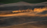 Golden Hour Farmland Poster och Canvastavla