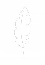 Banana Leaf Poster och Canvastavla