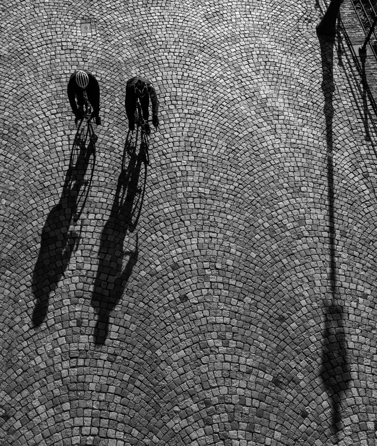 Cycling home Poster och Canvastavla