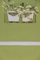 Wall Garden Poster och Canvastavla
