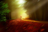 solitude walk Poster och Canvastavla