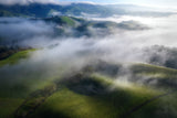 Foggy Hills Poster och Canvastavla