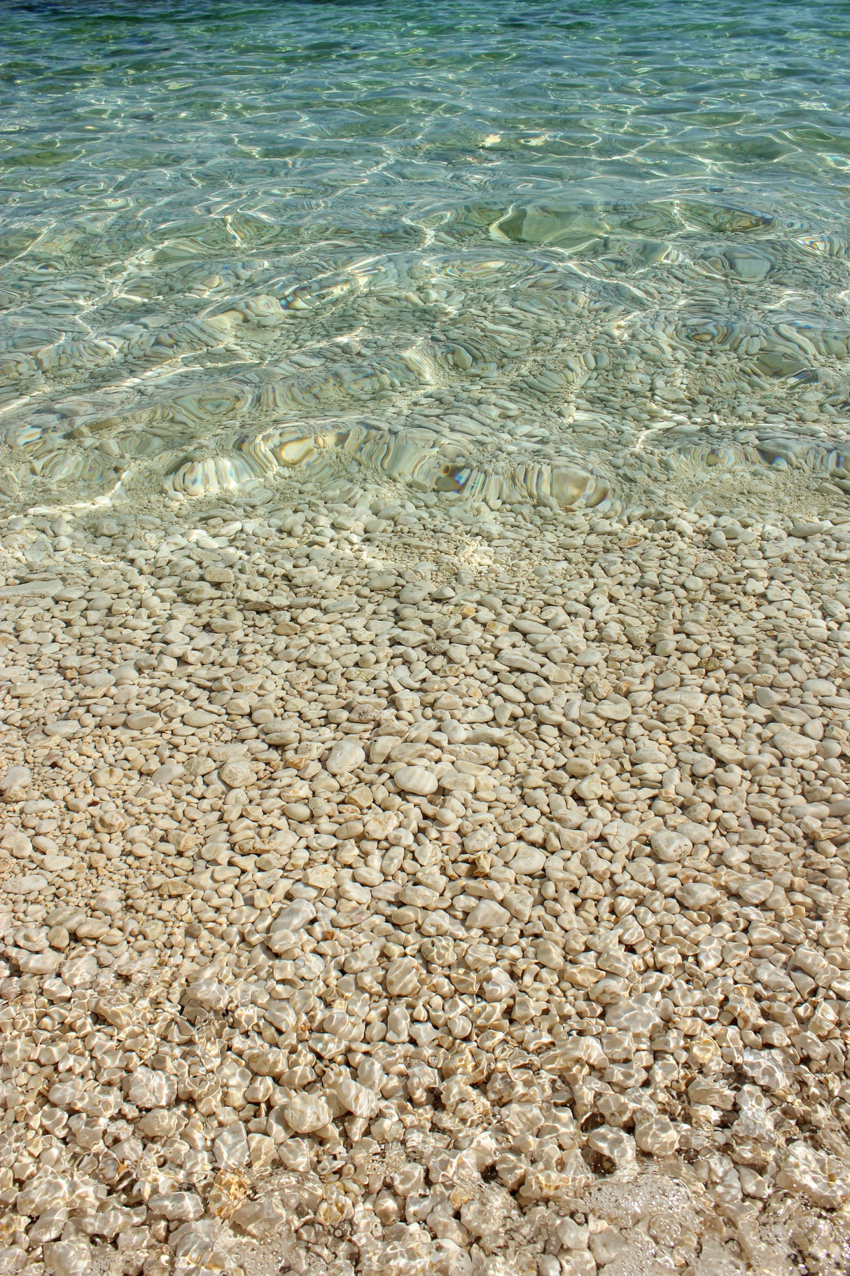 Aqua Ocean and Golden Pebbles Poster och Canvastavla