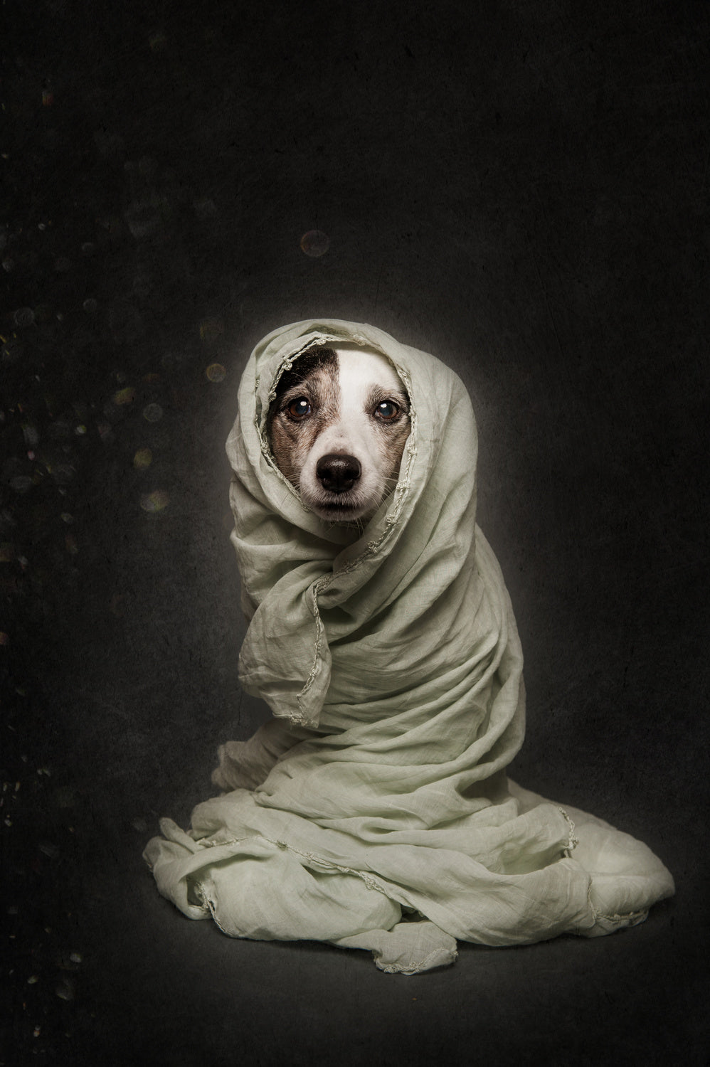Wrapped Poster och Canvastavla