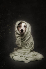 Wrapped Poster och Canvastavla
