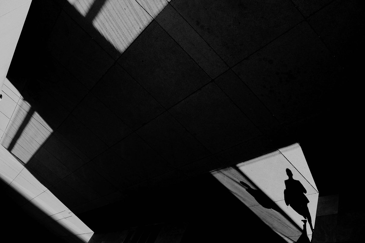 Light and shadows Poster och Canvastavla
